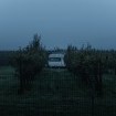 Foto: Pure Julia/Unsplash