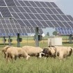 «Energiepolitik ist für christliche Ethik zentral»