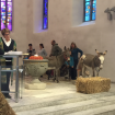 «Tiere entspannen den Gottesdienst» 