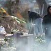 Wie weiter in Armenien nach der militärischen Niederlage in Berg-Karabach. Eine Auslegeordnung.