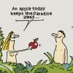 Als die Römer den Apfel ins Paradies schmuggelten – und noch viel mehr Apfelgeschichten