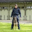 Marc Sieber mit dem Malinois-Schutzhund Zico: «Das gegenseitige Vertrauen ist gross»