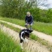 «Wir sollten Paten statt Besitzer von Hunden sein», sagt der Philosophie-Professor Markus Wild
