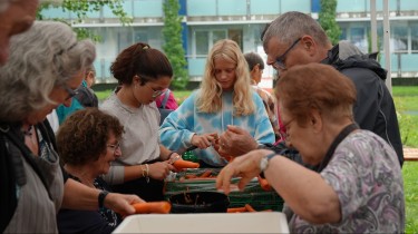 Freiwillige retten krumme Rüebli und verbeulte Tomaten