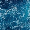 Eine doofe Frage führt zum Nachdenken über die Tropfen im Meer der Nächstenliebe