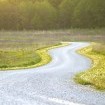 Am frühen Morgen im Essay zu Ostern: Zwei tanzende Schwalben im Morgenlicht