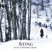 Ein trauriges Lied des britischen Musikers Sting, das grossen Trost birgt – Adventsmusik 1