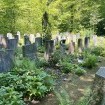 Auf Führungen durch den Schaffhauser Waldfriedhof erwachen Geschichten über Spinnen und Bankrotteure