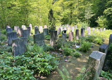 Auf Führungen durch den Schaffhauser Waldfriedhof erwachen Geschichten über Spinnen und Bankrotteure