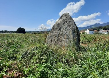 Der Freistein von Attiswil war einst ein Heiligtum, später wurde er zu einer sogenannten Freistatt.