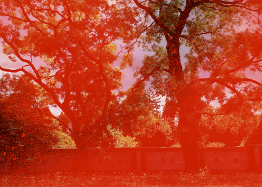 Suche nach einer Erfahrung, die zu einer tieferen Wahrheit führt: in allen Religionen zu finden