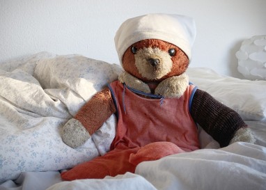 Adventskalender 2025 – Türchen 6: Ein Bär, der durchs Leben begleitet