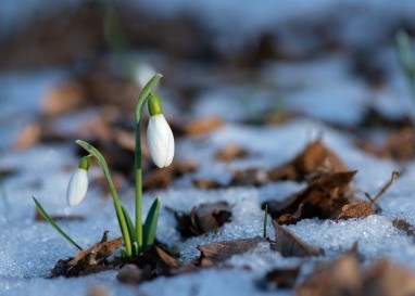 Die Jahreslosung steht in der Offenbarung und schenkt Hoffnung in apokalyptischen Zeiten