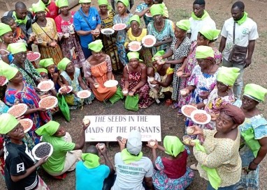 «Saatgut ist ein Gemeingut»: Heks-Expertin sagt, warum die Zukunft bei den Kleinbauern liegt 
