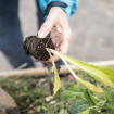 Die reformierte Stimmbevölkerung des Kantons Zürich unterstützt strengere Klimaziele