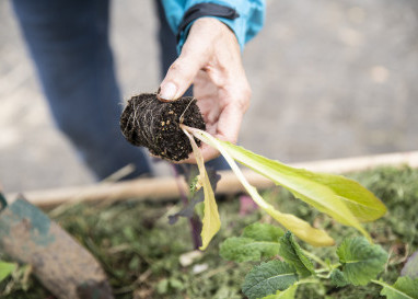 Die reformierte Stimmbevölkerung des Kantons Zürich unterstützt strengere Klimaziele