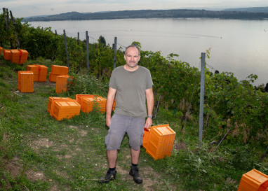 Der preisgekrönte Winzer Beat Burkhardt baut am Bielersee Wein für das Kloster Engelberg an